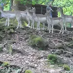 Il Guscio Casa de hóspedes *