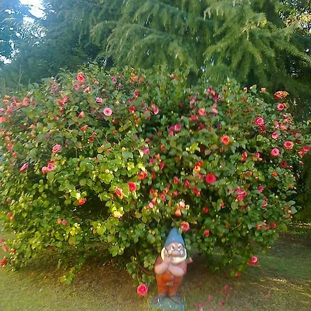 بيت ضيافة Il Guscio بافينو