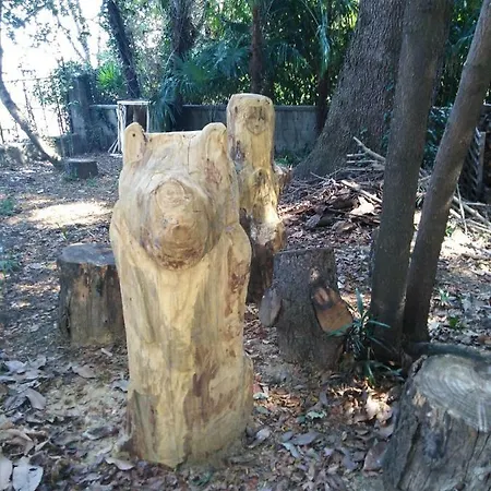Il Guscio Konukevi *