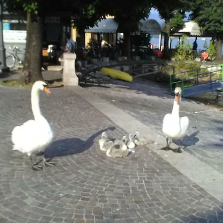 Konukevi Il Guscio *