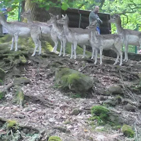 Il Guscio Pensión *