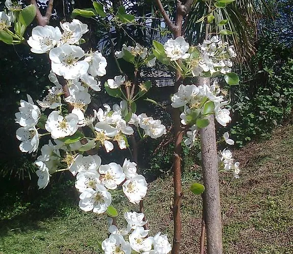 Il Guscio Pensjonat *