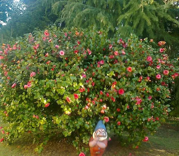 게스트하우스 Il Guscio 바메노