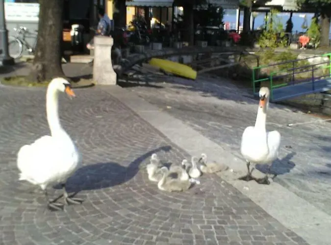 Pensjonat Il Guscio *