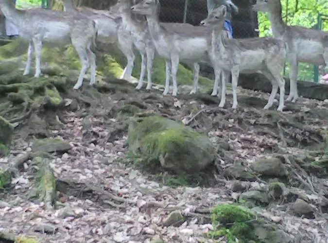 Il Guscio 게스트하우스 *